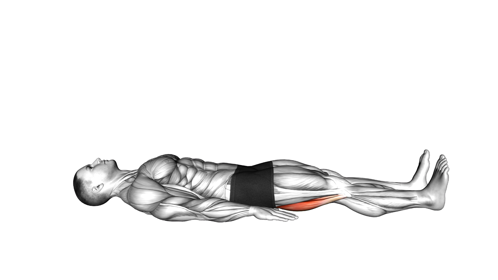 Lying Supine Heel Slide exercise demonstration