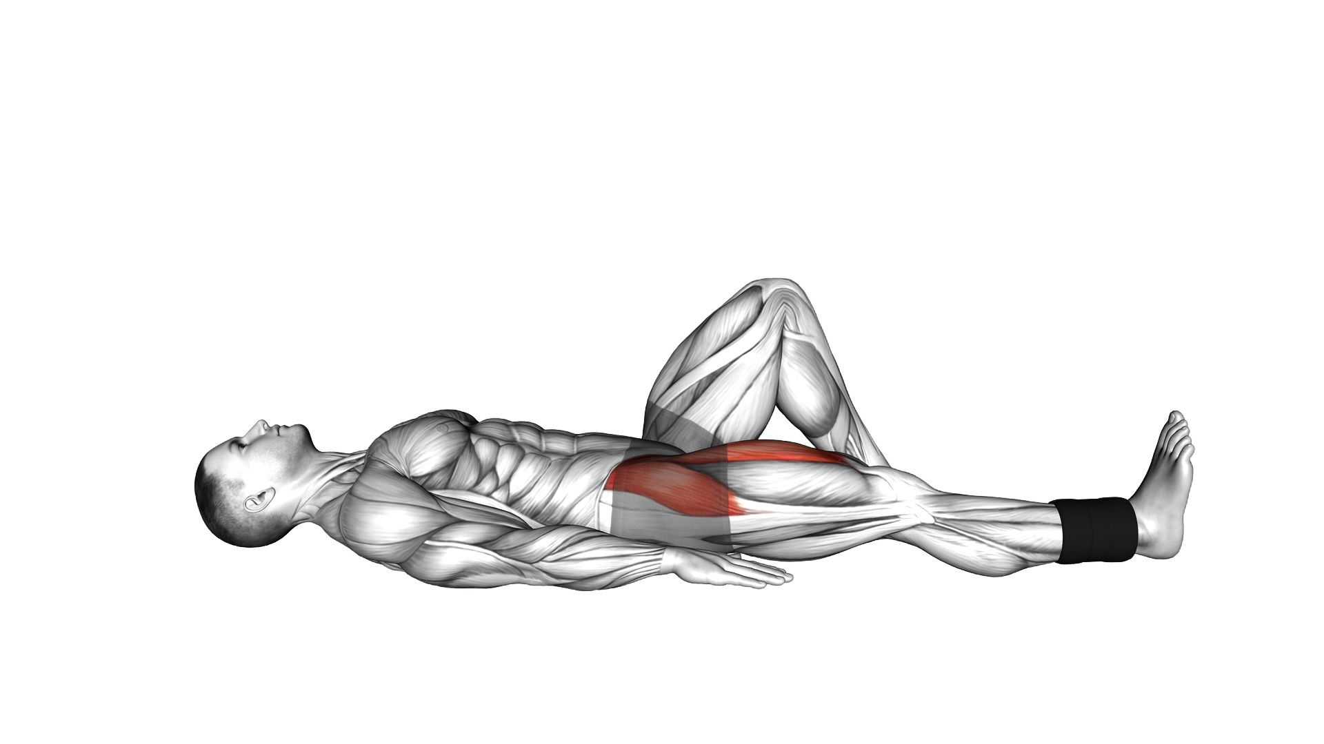 Weighted Lying Supine Straight Knee Raise exercise demonstration