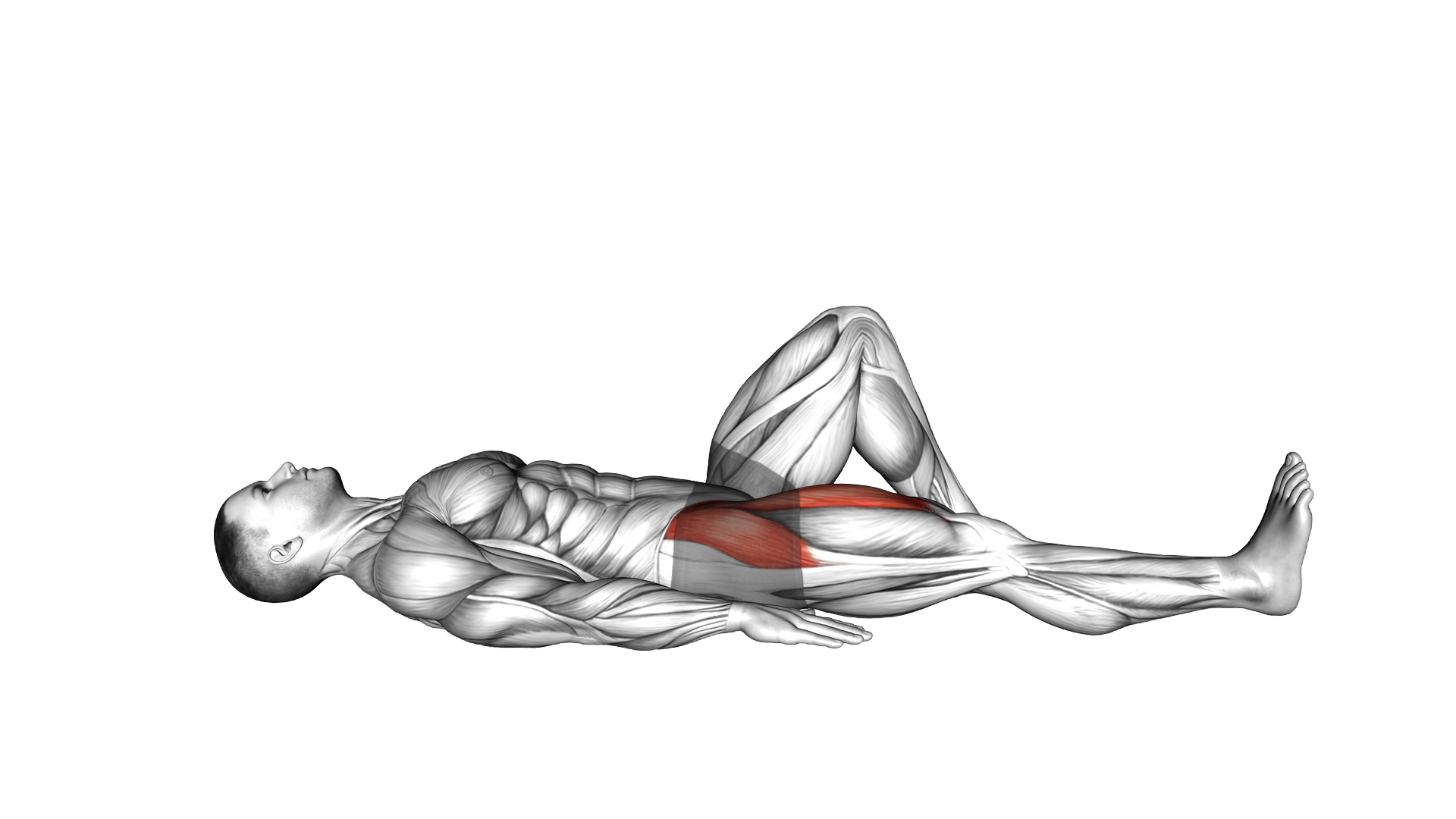 Lying Supine Straight Knee Raise exercise demonstration