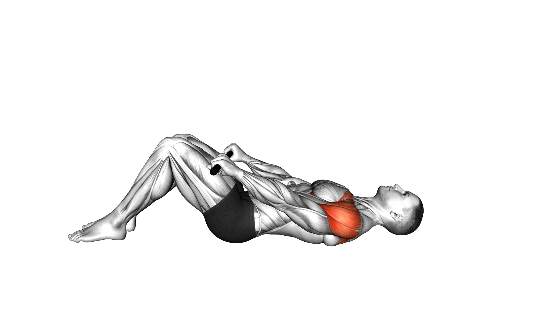 Stick Assisted Lying Supine Shoulder Flexion exercise demonstration