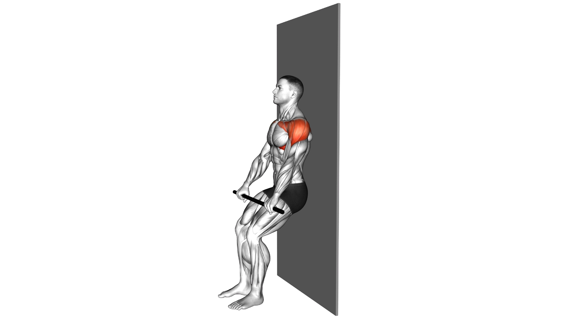 Stick Assisted Standing Shoulder Flexion exercise demonstration