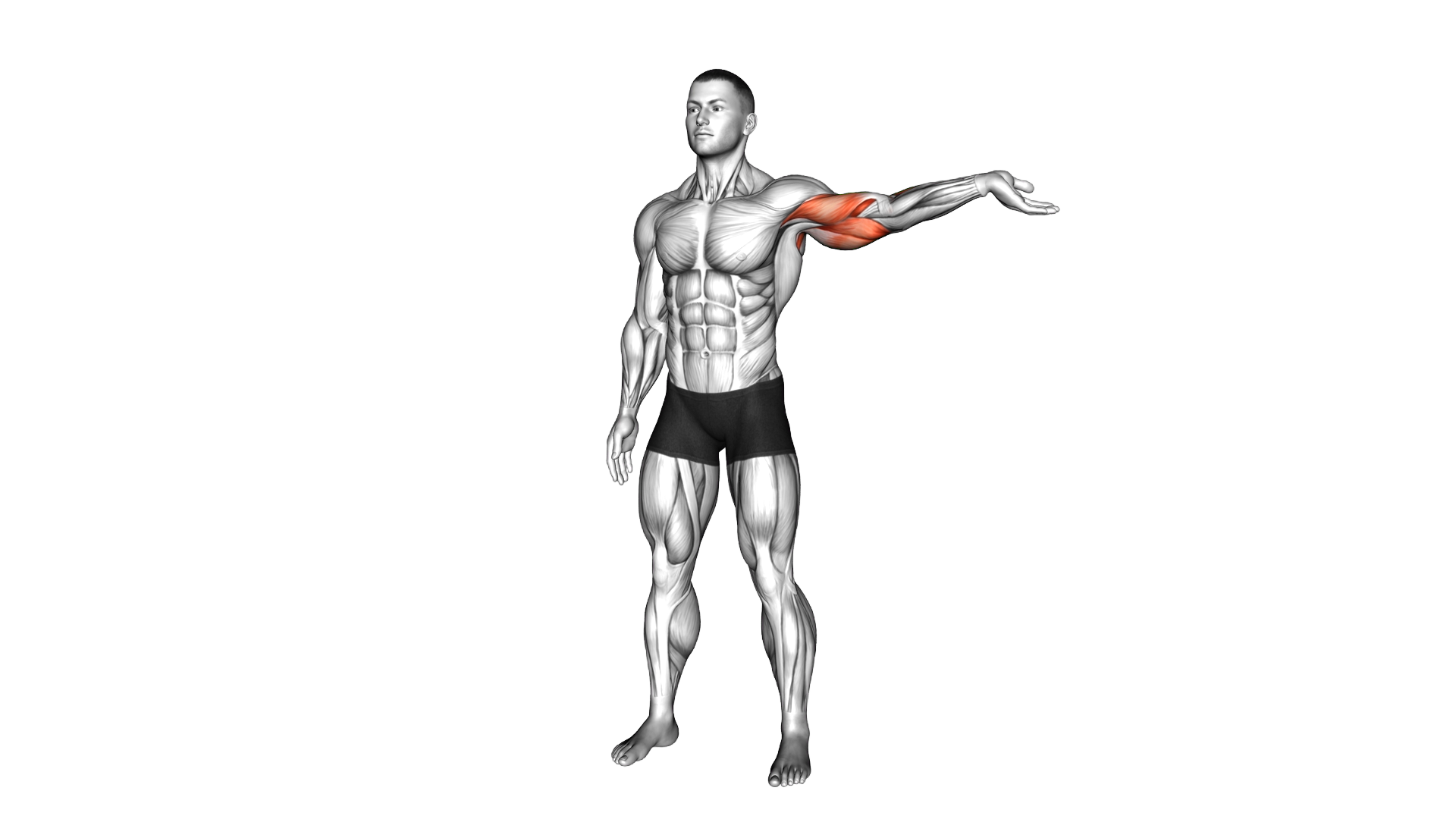 Standing Median Nerve Mobilization exercise demonstration
