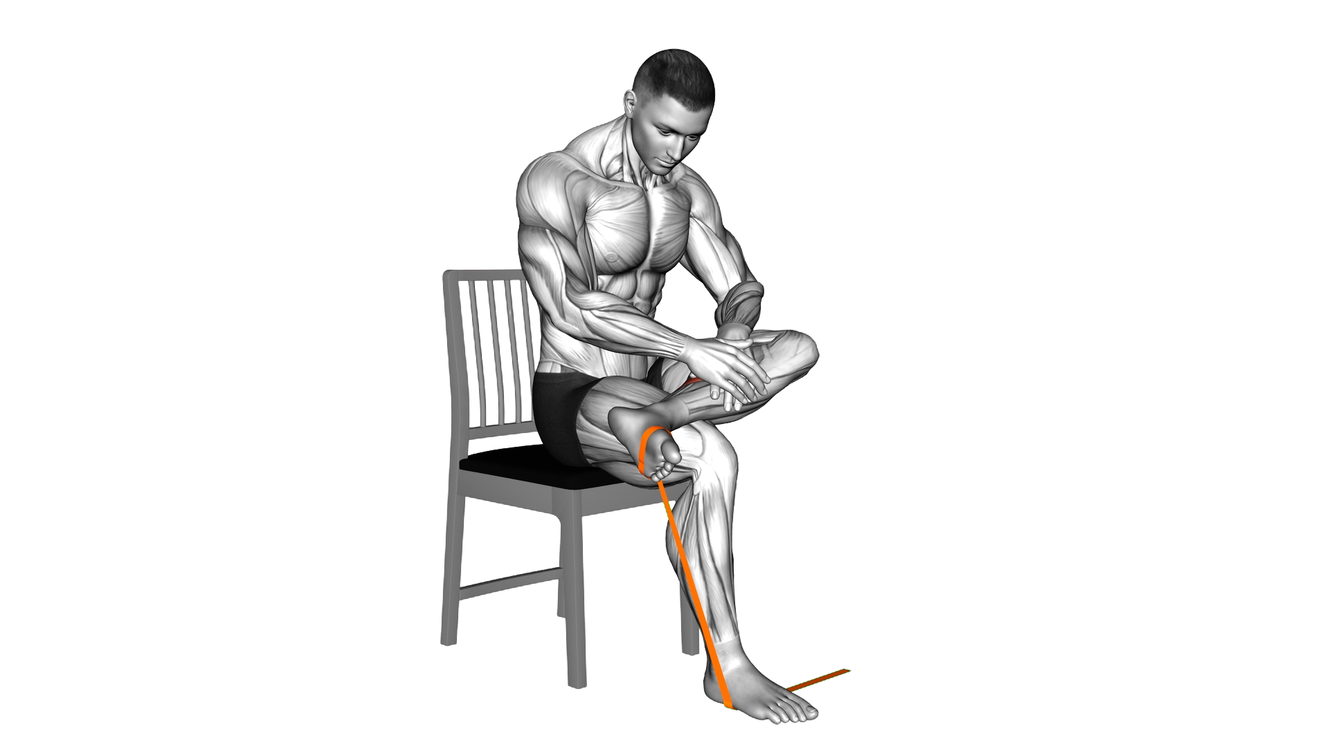 Resistance Band Sitting Posterior Tibialis Mobiliz exercise demonstration
