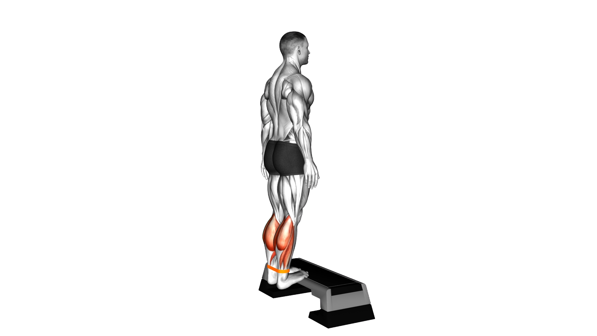 Resistance Band Standing Posterior Tibialis Mobili exercise demonstration