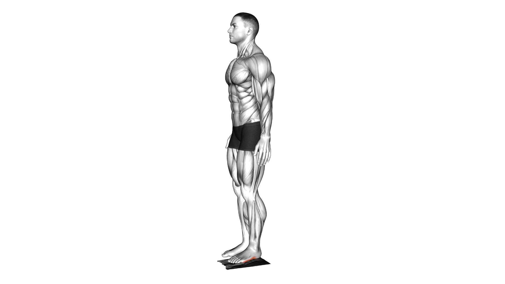 Standing Towel Foot Crunch exercise demonstration