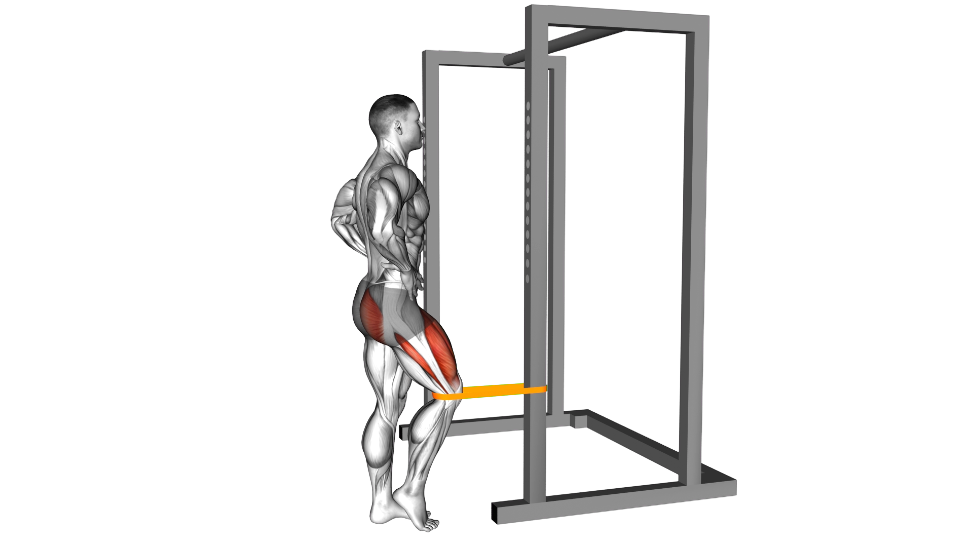 Resistance Band Standing Single Leg Knee Extension exercise demonstration