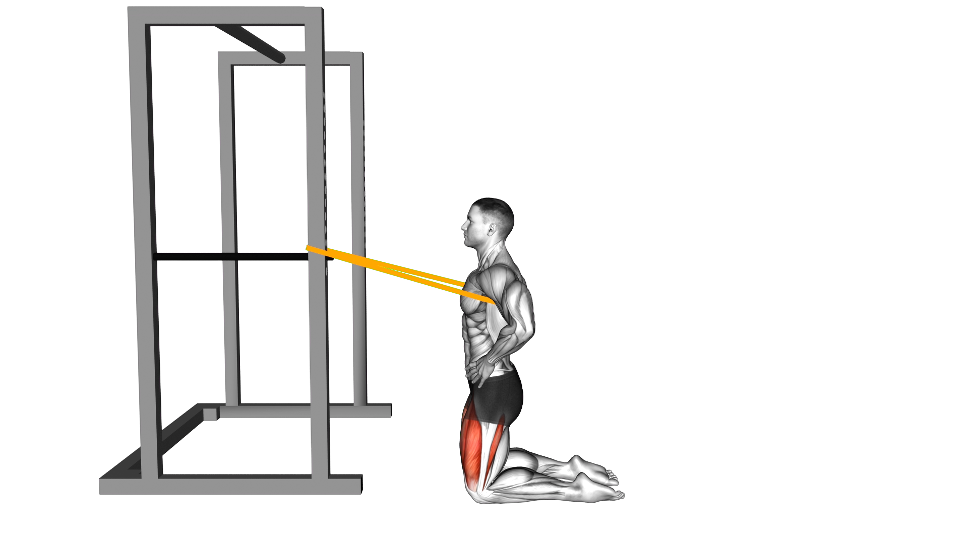 Resistance Band Kneeling Sissy Squat exercise demonstration