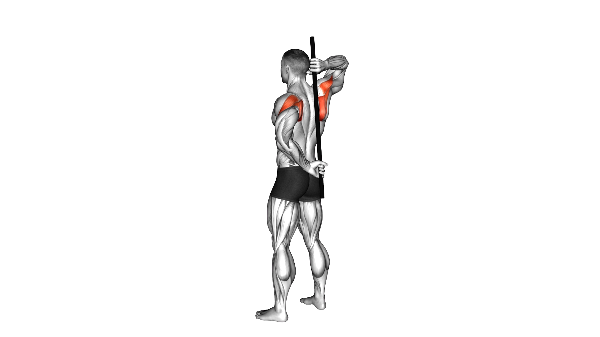 Stick Assisted Standing Shoulder Internal Rotation exercise demonstration