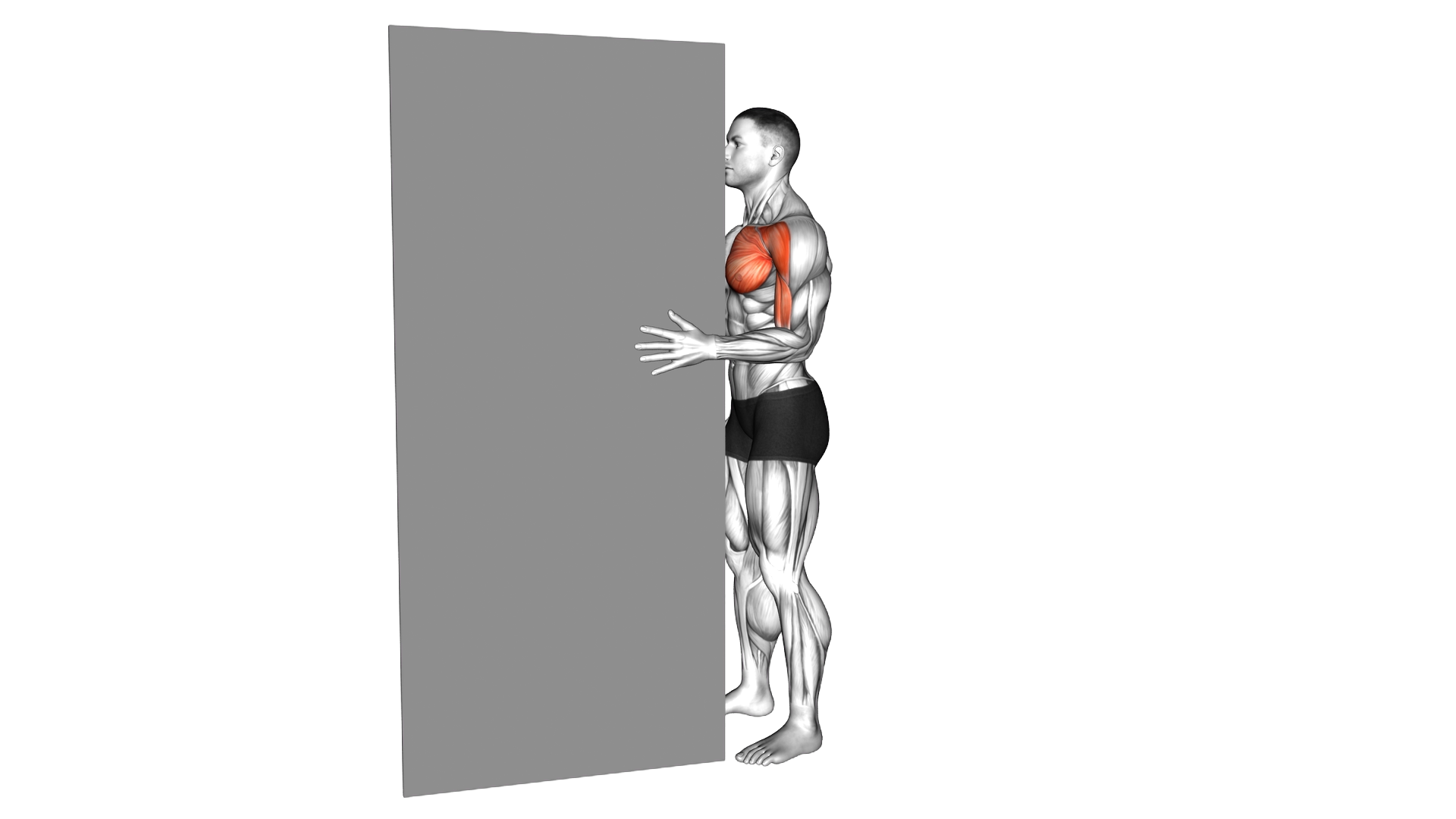 Standing Isometric Shoulder Internal Rotation agai exercise demonstration