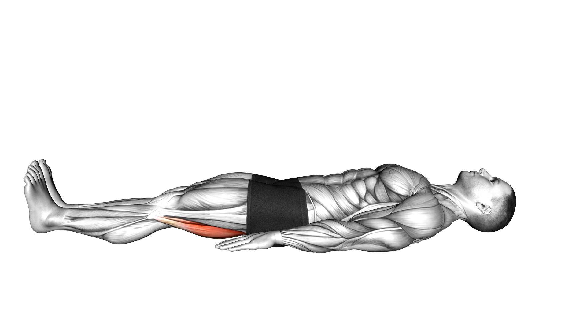 Lying Isometric Hamstring Bridge exercise demonstration
