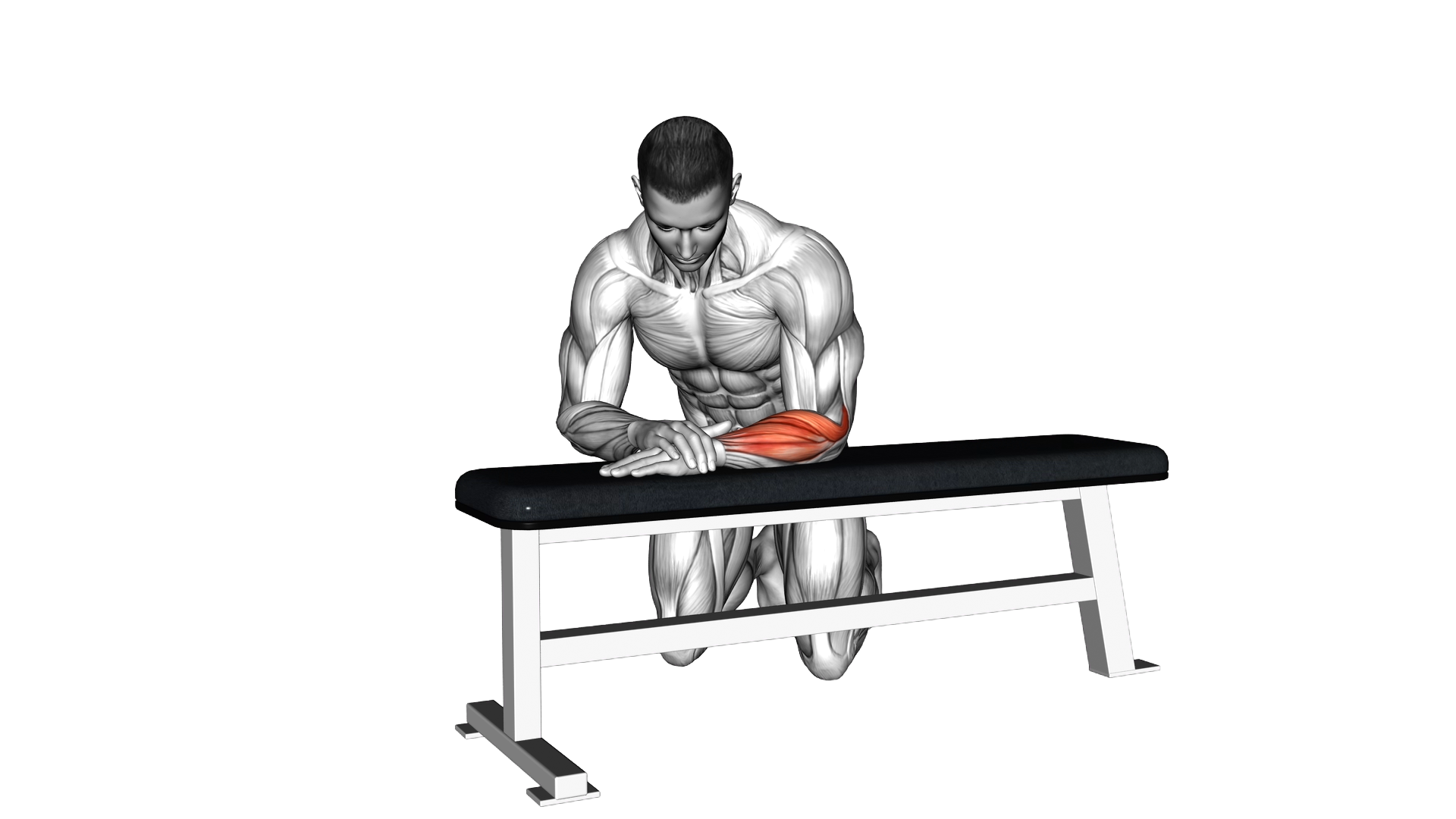 Isometric Wrist Extension exercise demonstration