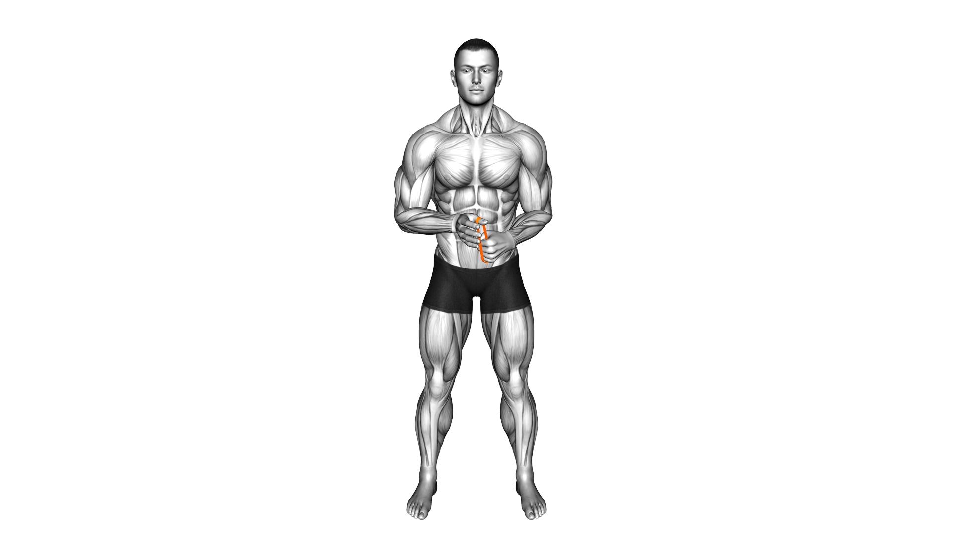 Resistance Band Isometric Thumb Extension exercise demonstration
