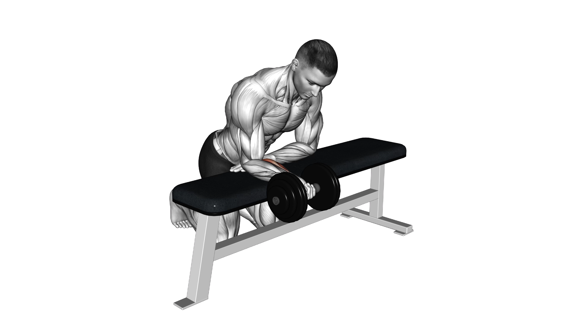 Dumbbell Isometric Wrist Flexion over Bench exercise demonstration