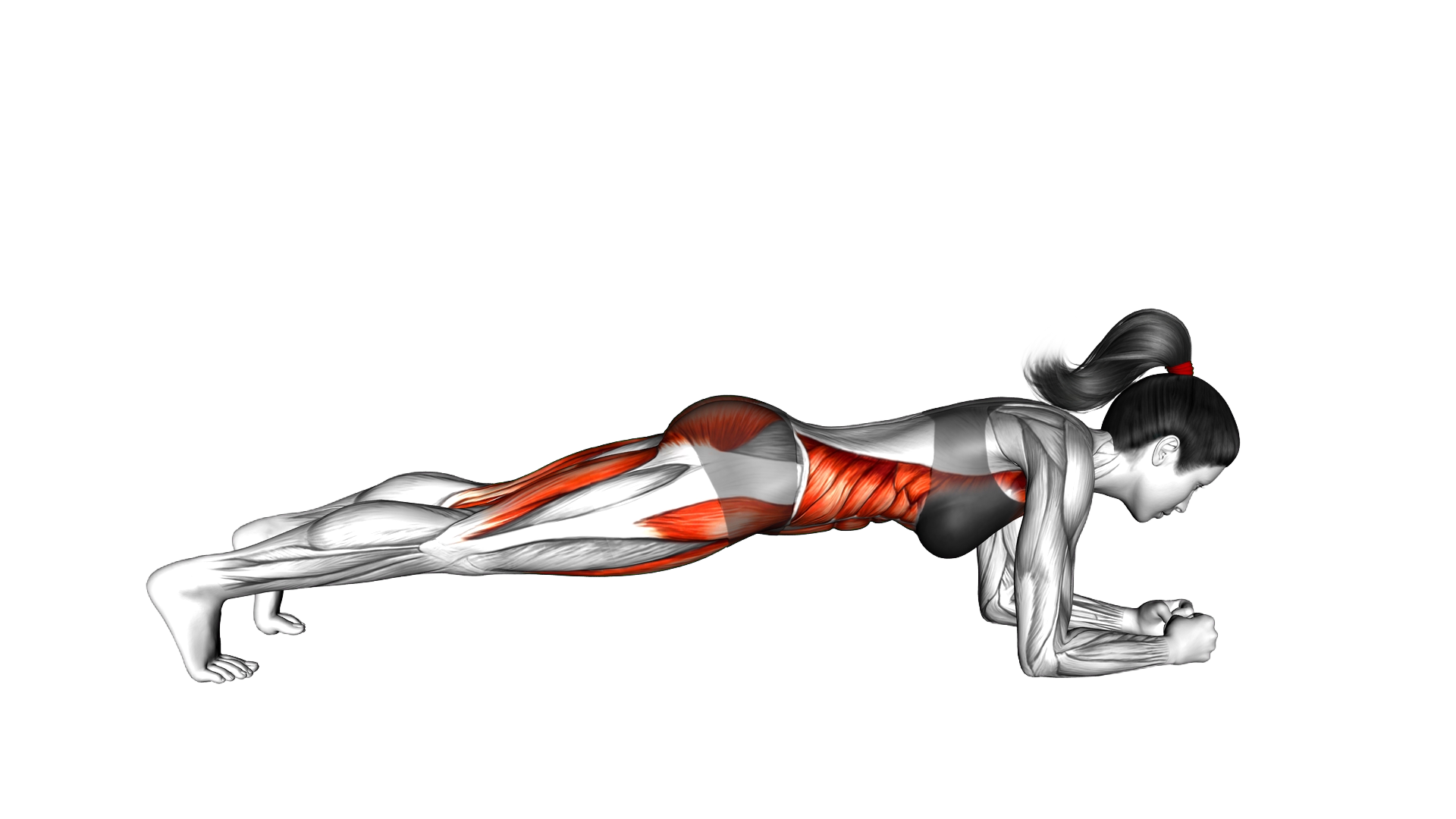Plank Knee Tap exercise demonstration